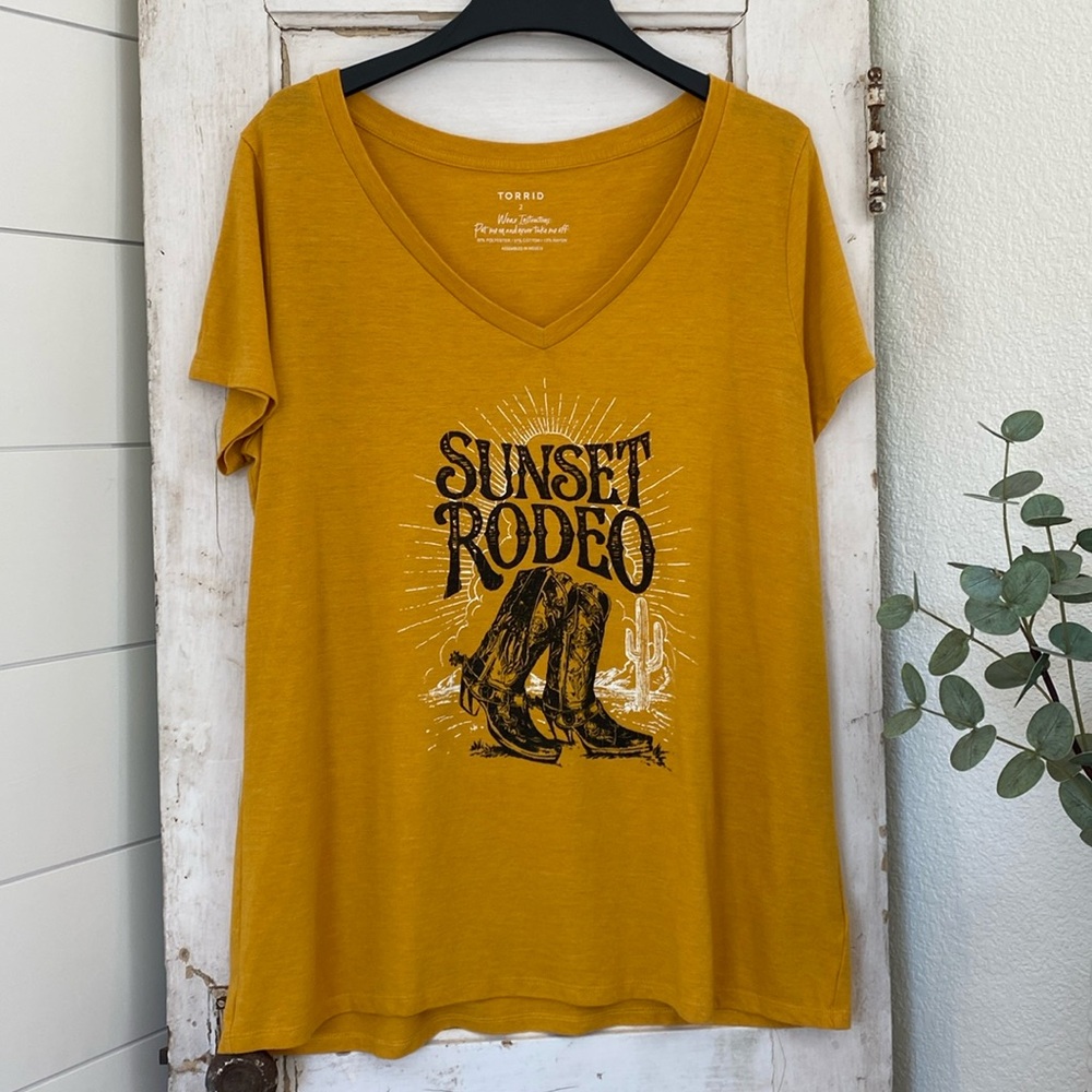 Torrid V-neck t-shirt Size 2